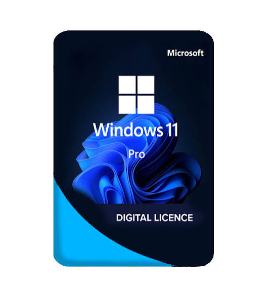 Windows 11 Pro